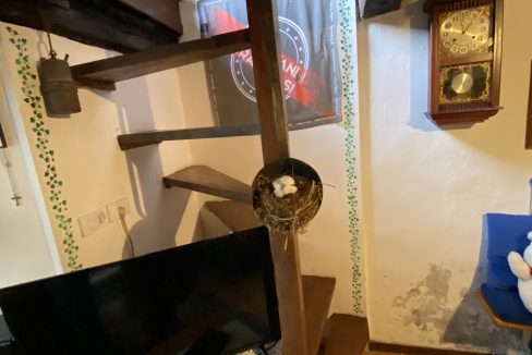 IMG-6026